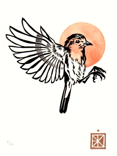 Linogravure d'un rouge-gorge avec rehauts à l'aquarelle