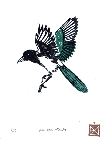 Linogravure d'une Pie, en noir et bleu-vert